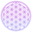 SPIRAD logo