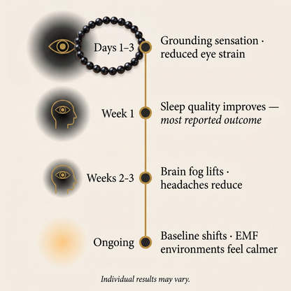 Shungite EMF Shield Bracelet™